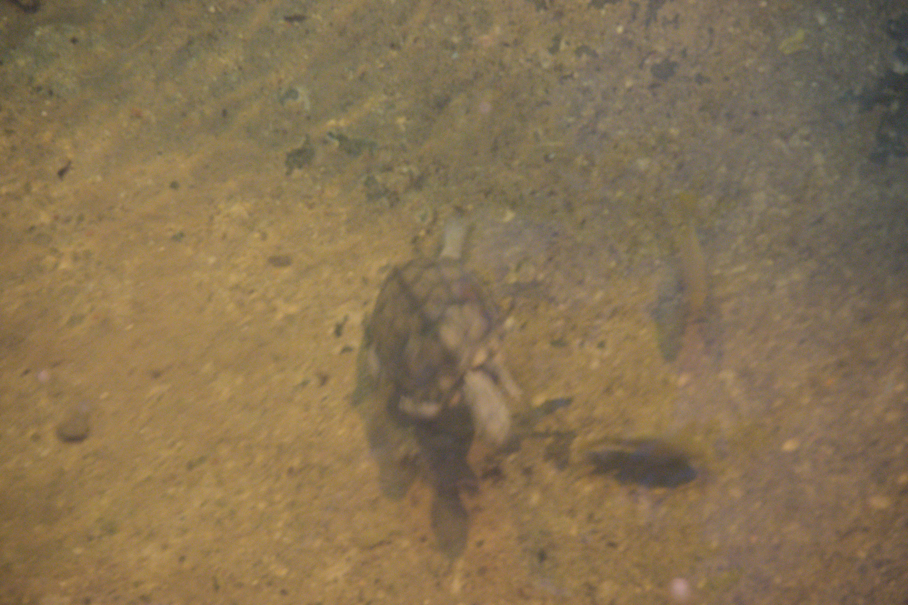 2025/10/12 - zoo/DSC_0137.jpg